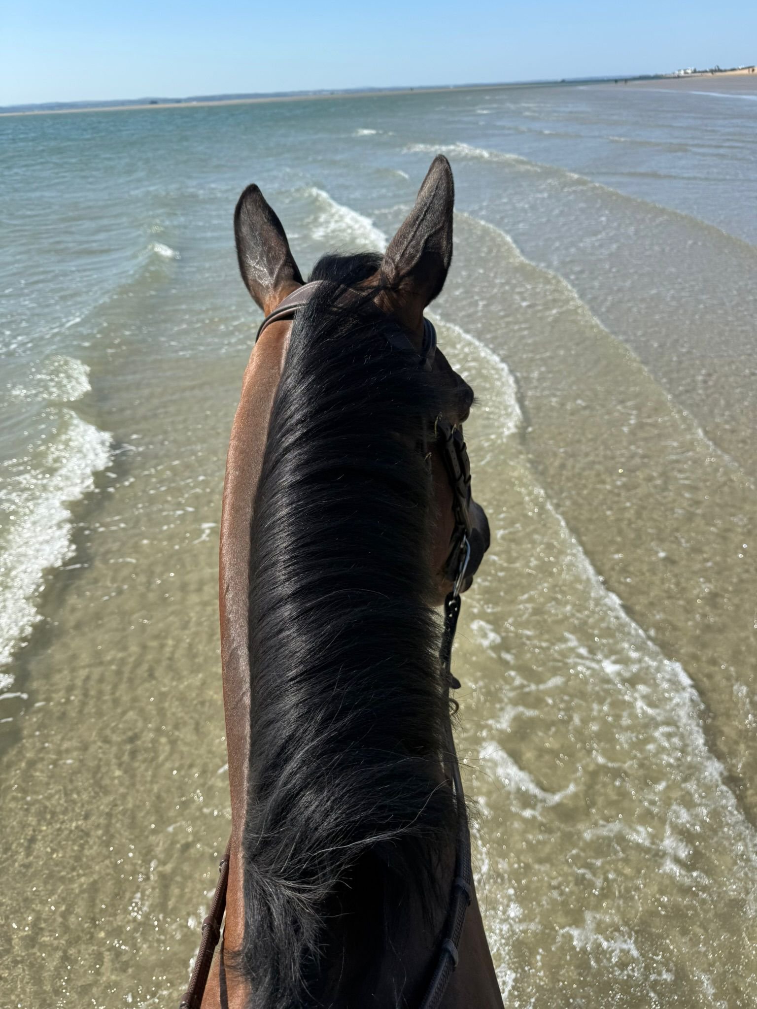 Beach riding experience