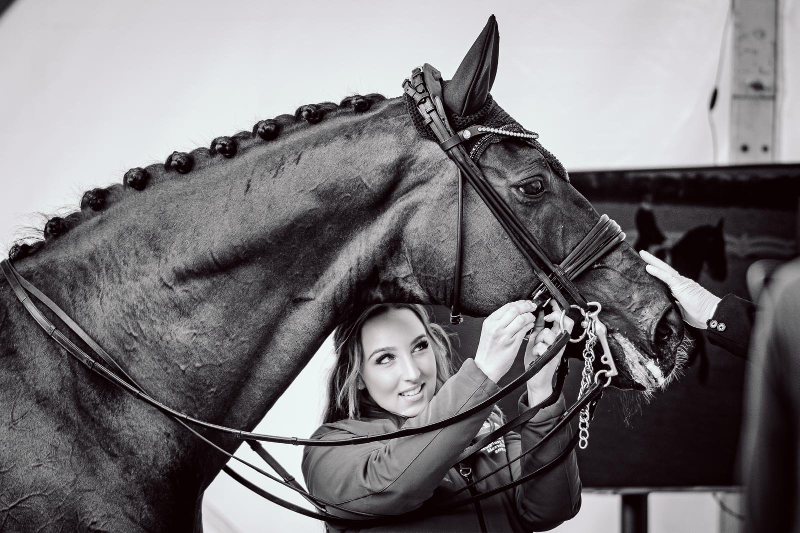 Professional equestrian arena with horses and riders